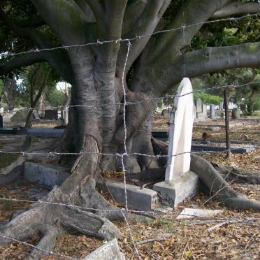 01. Overview pictures of Maitland