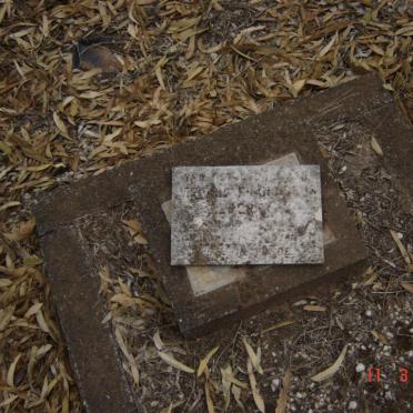 ? Franciscus Albertus