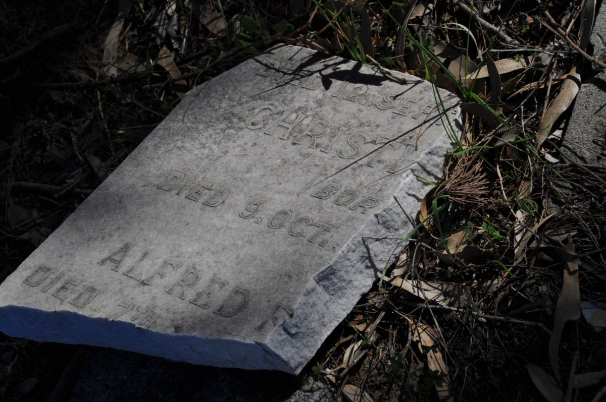 ? Christi? :: ? Alfred F.