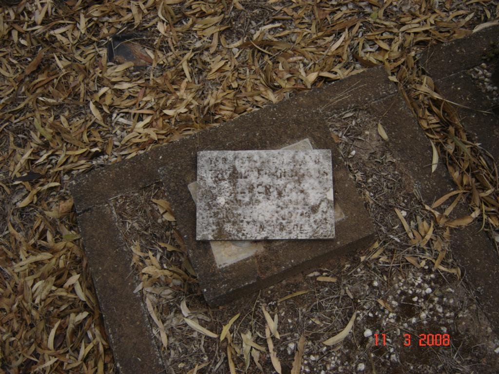 ? Franciscus Albertus