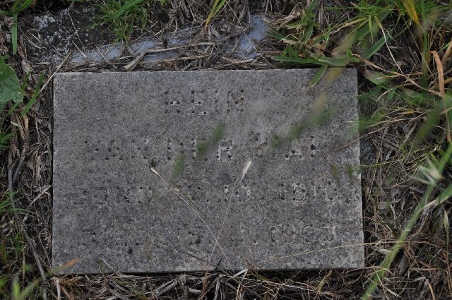 ? Hein, van der 1910-1993