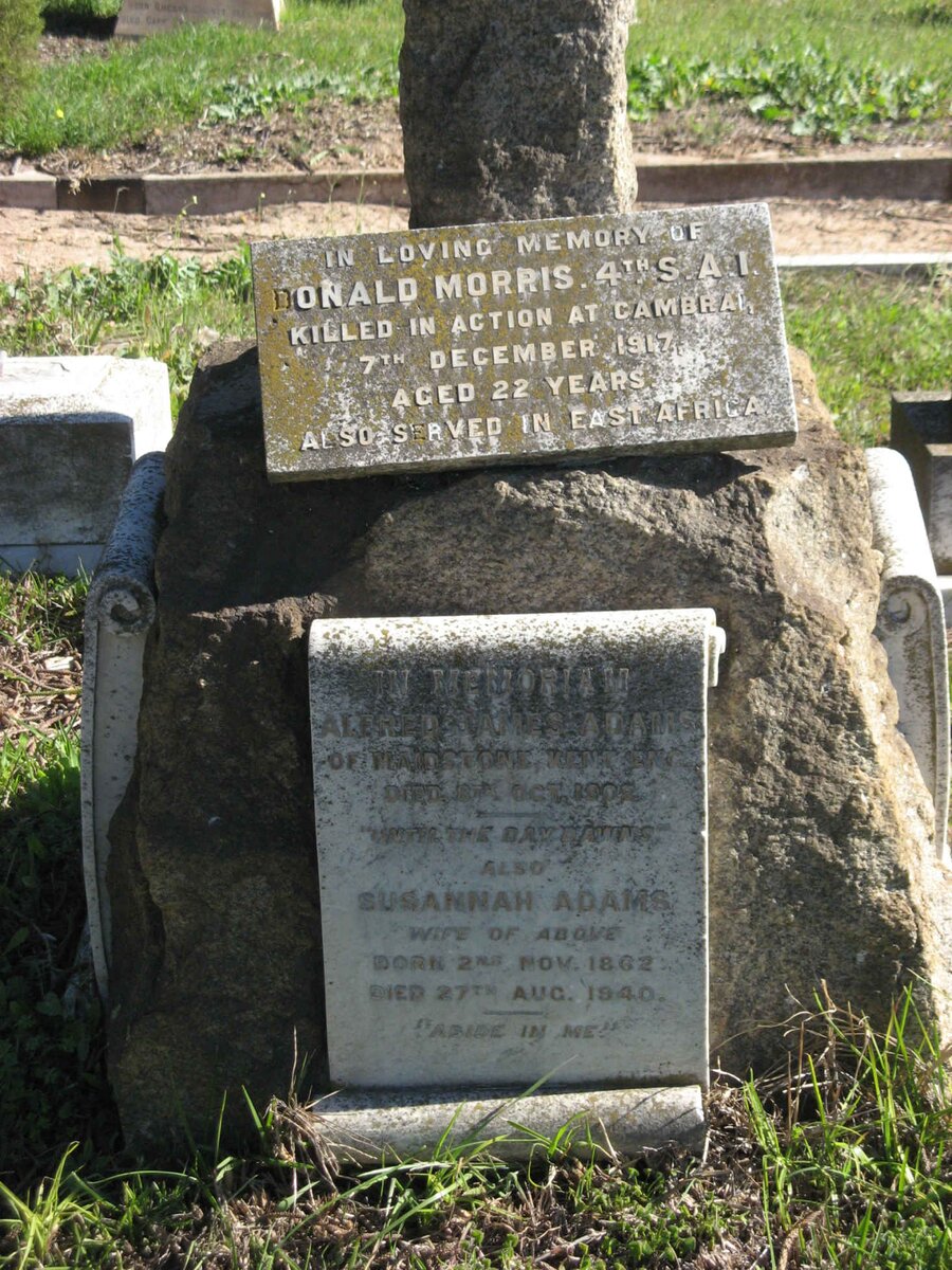 ADAMS Alfred James -1902 &amp; Susannah 1862-1940 :: MORRIS Donald -1917