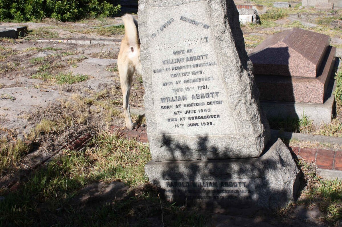 ABBOTT William 1843-1929 &amp; Helena 1843-1921 :: ABBOTT Harold William 1872-1933