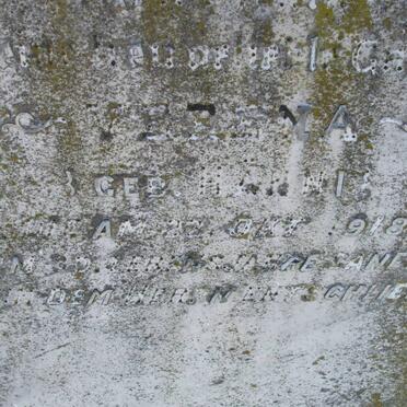 BAUMGARTEN Vebena  ??-1919