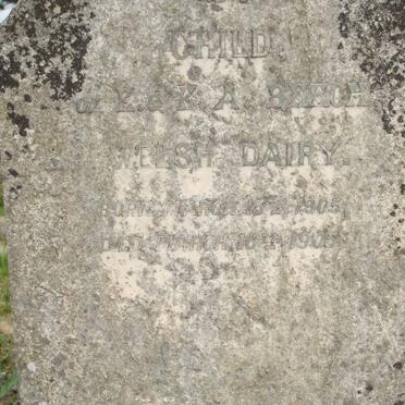 BEECH Welsh Dairy 1905-1905