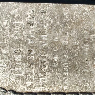 BESTER Martha Jacoba Sophia nee SMIT  1883-1969_1