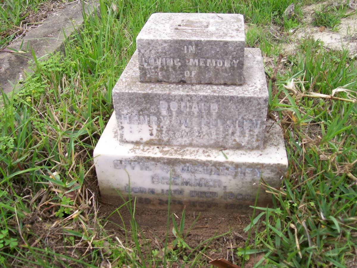 BREMNER Donald Henry Wellesley 1908-1909