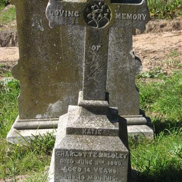 BRADLEY Katie Charlotte -1900