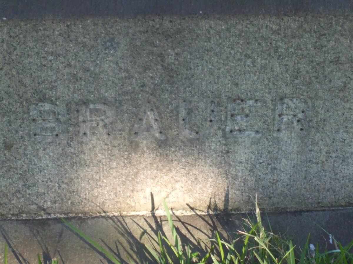BRAUER