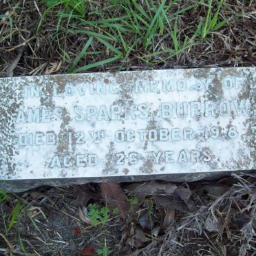 BURROW Ames Sparks -1918