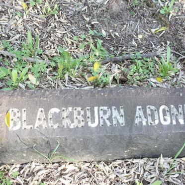 BLACKBURN Adonis