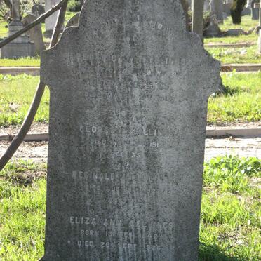 COLLINGS Frederick H. -1919 :: COLLINGS Eliza Ann 1842-1926