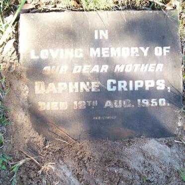CRIPPS Daphne -1950