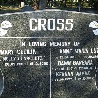 CROSS :: LUTZ