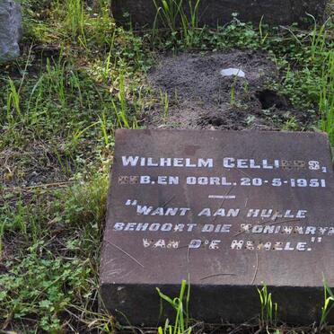 CELLIERS Wilhelm 1951-1951