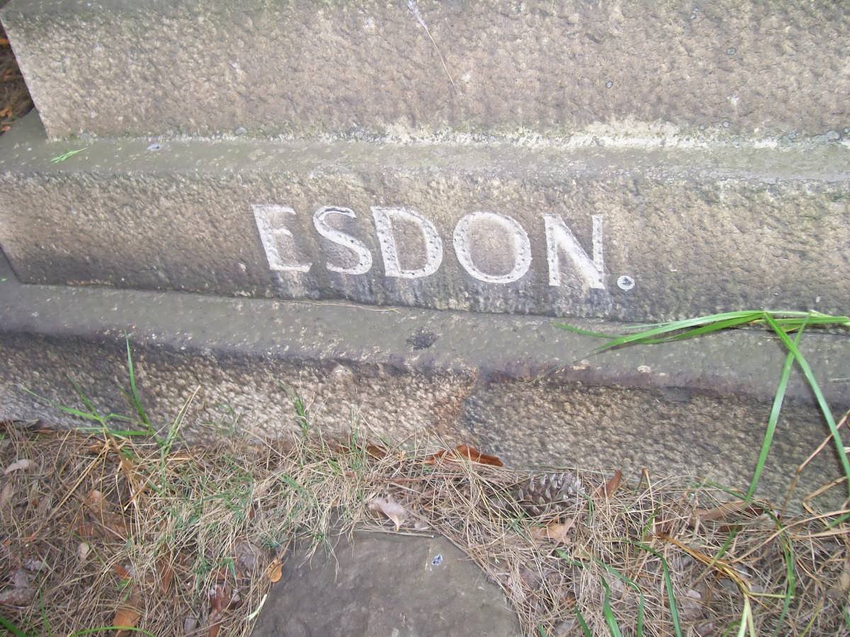 ESDON