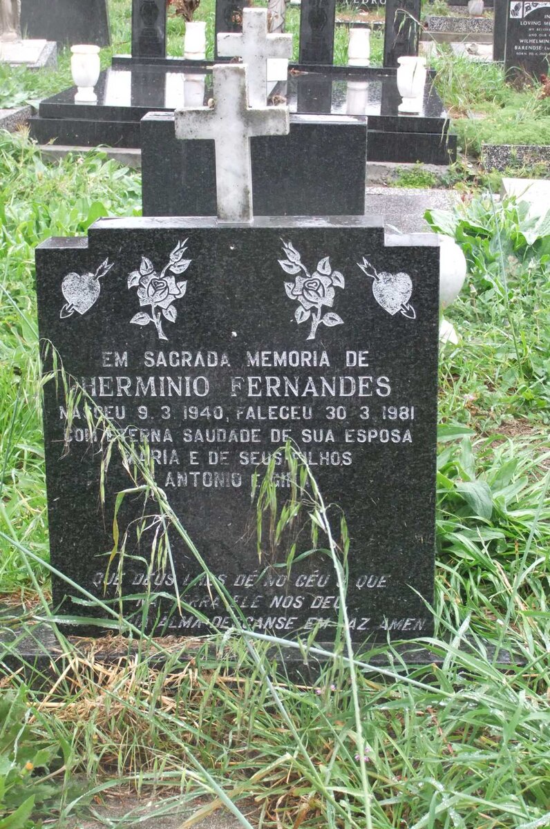 FERNANDES Herminio 1940-1981