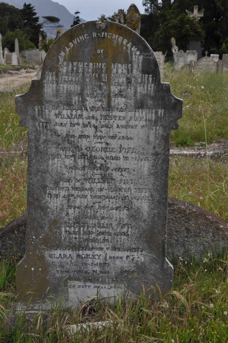 FIFE George -1904 &amp; Catherine MOYCE -1901 :: FIFE William -1906 &amp; Hester Julia SAMUELS -1931