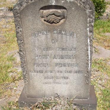 FOSTER John Albert Cicel -1950