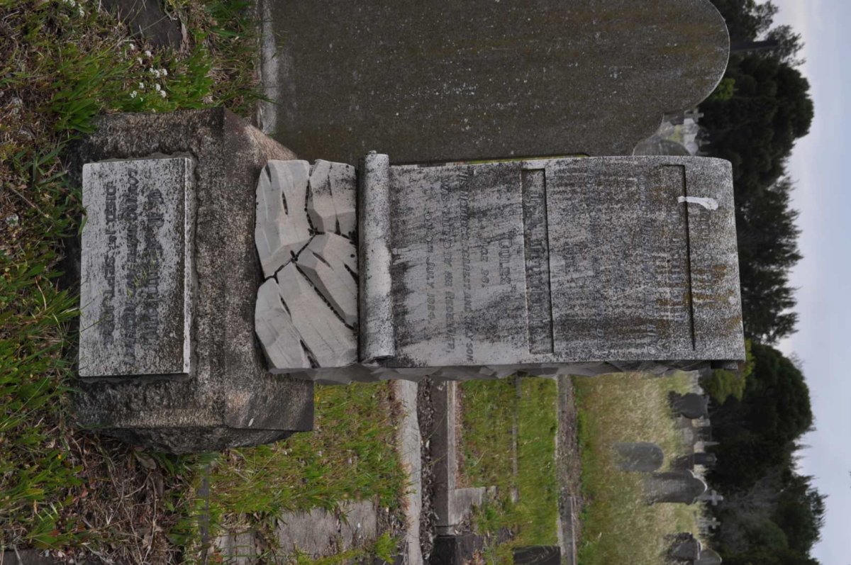 FOUNTAIN -1915 :: FOUNTAIN Cules -1924