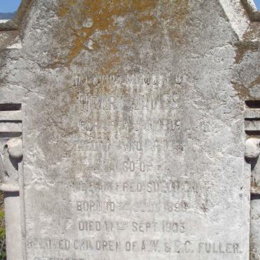 FULLER Henry James  1892-1895 :: FULLER William Fred Solomon 1896-1903