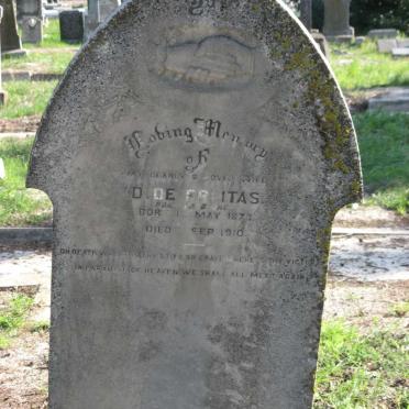 FREITAS D, de nee ??a?b  1873-1910