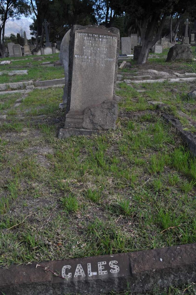 GALES William Wilford :: GALES Mabel Elwina :: GALES N? Cindora