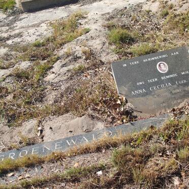 GROENEWALD Anna Cecilia nee LÖTTER 1901-1978