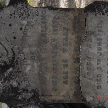 HALLING Christian G. -1887 &amp; Sophia M. PAUL -1911