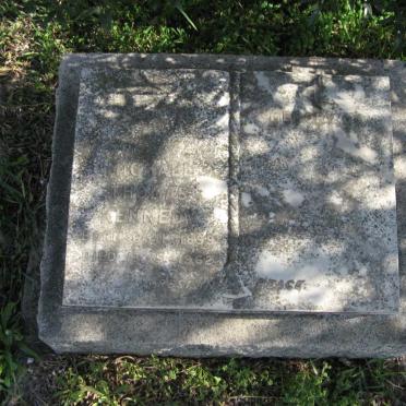 KENNEDY Michael Thomas 1899-1962