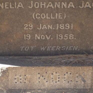 KOCK Cornelia Johanna Jacoba, de 1891-1958