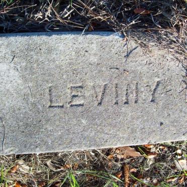LEVINY