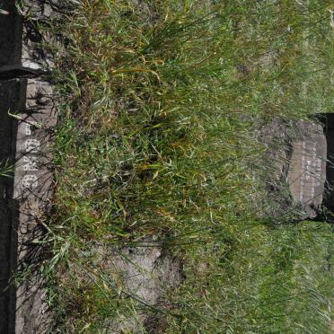 LONG ? 1874-1968 &amp; ? 1879-19??