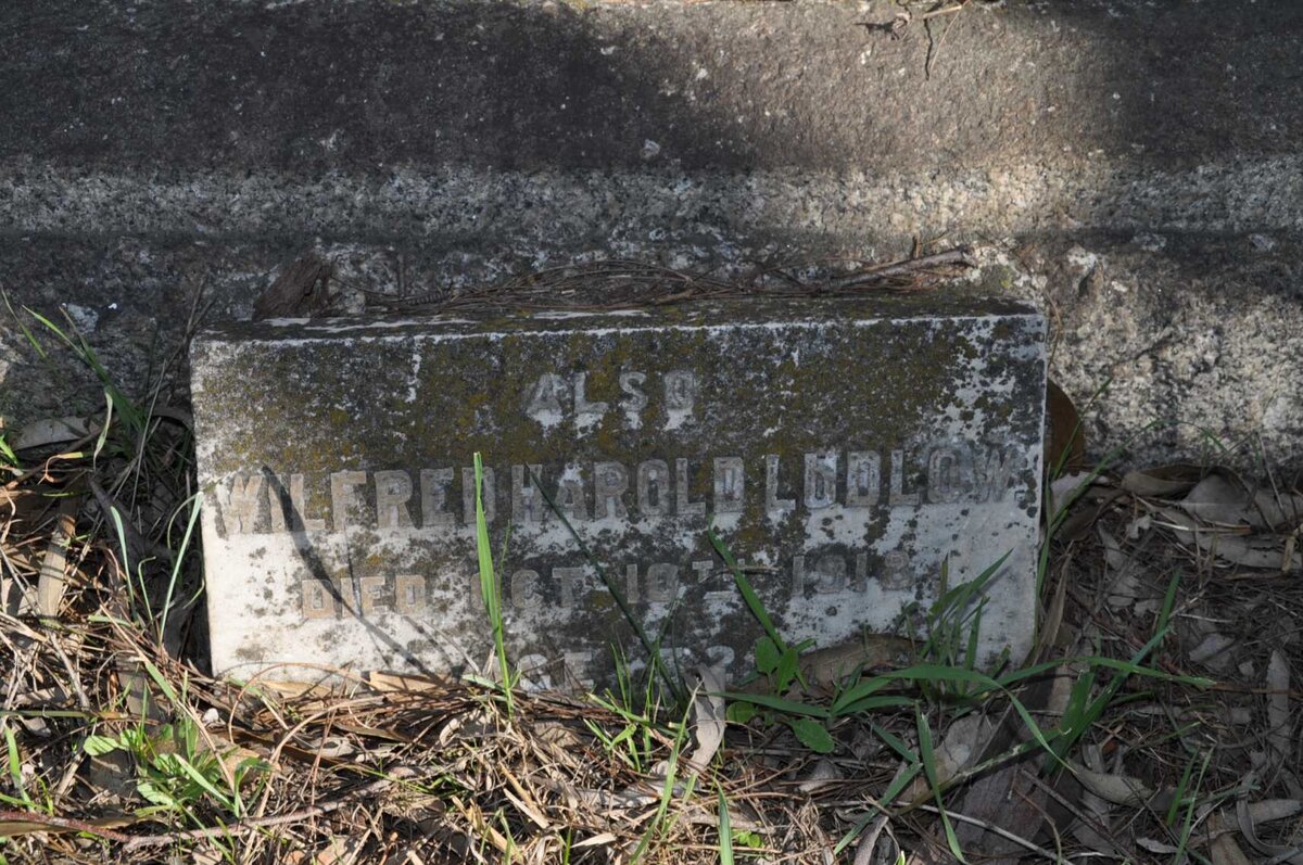 LUDLOW Wilfred Harold -1918