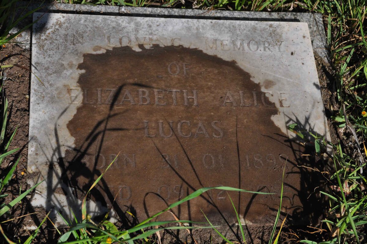 LUCAS Elizabeth Alice 1899-1925