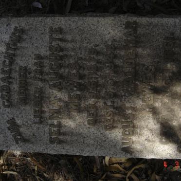 MEWES August Waldemar 1861-1949 &amp; Selma Auguste 1879-1948