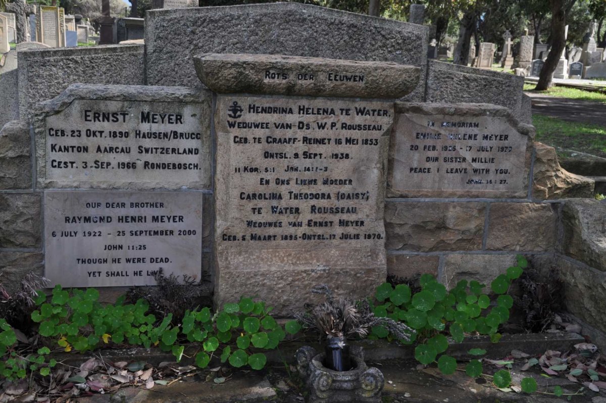 MEYER :: ROUSSEAU :: TE WATER