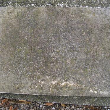 MELLET Ernustus 18??-??