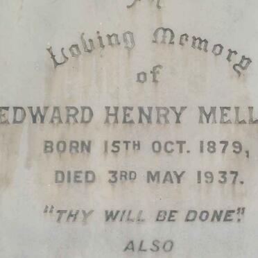 MELLISH :: STEENSMA :: BAYLY :: WATHES :: TENNANT