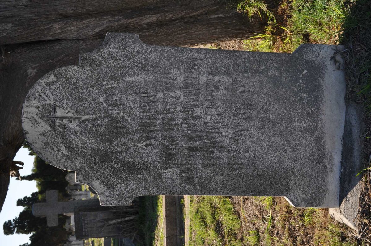 MACLAUGHLIN Archibald 1829-1906