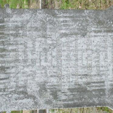 MATHEWS :: ALLAN :: FEHRS :: GRAY