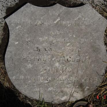 MARAIS Petrus Jacobus 1922-??