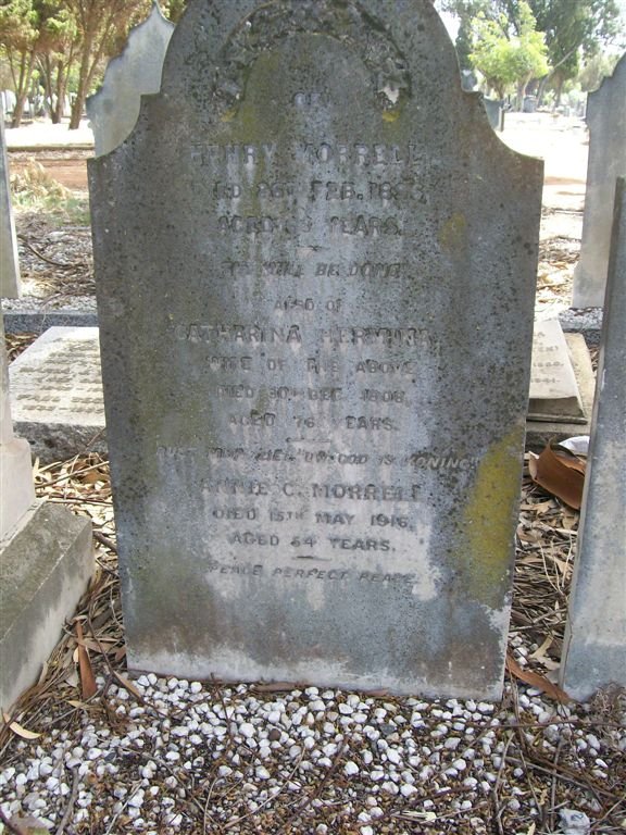 MORRELL Henry -1896 &amp; Catharina -1908 :: MORRELL Attie C.  -1916