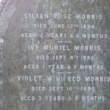MORRIS Lilian Rose -1894 :: MORRIS Ivy Muriel -1895 :: MORRIS Violet Winifred -1895