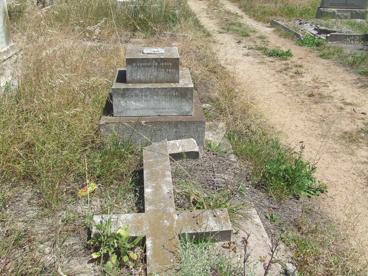 MULVIHAL Michael W. -1899