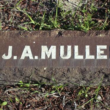 MULLER J.A.