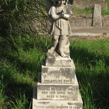 McCAULEY Michael Patrick -1914