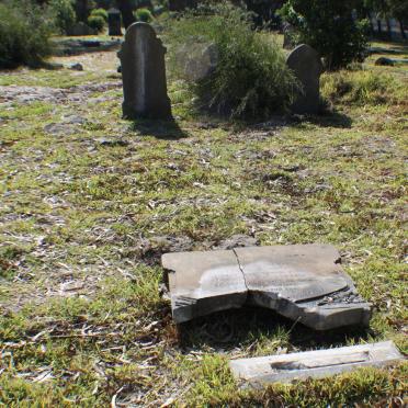 1. Overview on the grave before the cleanup