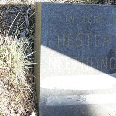NEETHLING  Hester