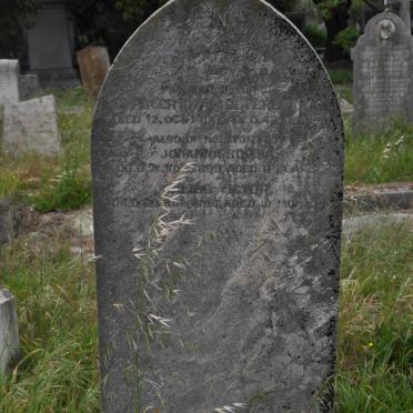 PETERSON Peter Olaf -1906 :: PETERSON Johanna Sophia -1899 :: PETERSON Julius Victor -1899